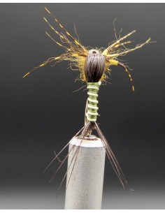 Nymphe de surface Olive...