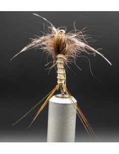 Nymphe de surface Olive...