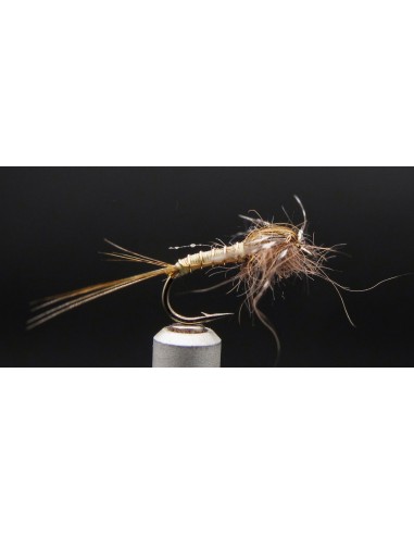 Nymphe de surface Olive Claire...
