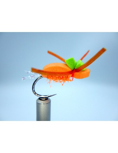 TRS Téléphore Fauve DK Flies