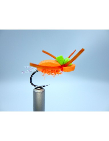 TRS Téléphore Fauve DK Flies