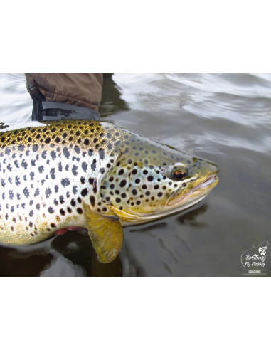 Canne à mouche Lough Style Special...