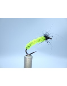 Floating Willow Tree...