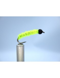 Chenille de saule Nymphe...