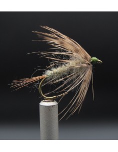 Drennec WC S. Olive ™