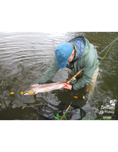 Coastal Rivers Switch “Eog Salar”...