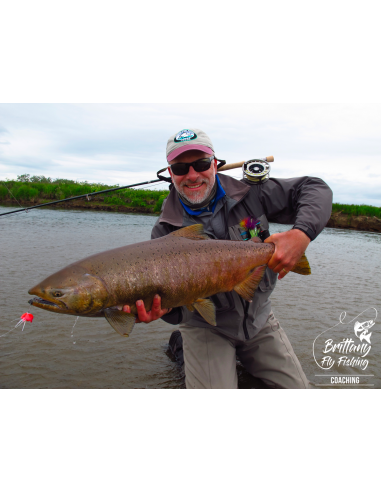 Coastal Rivers Switch “Eog Salar”...