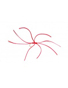 FMF Northern Spider Red...