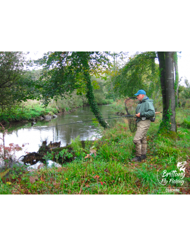 Coastal Rivers Switch “Eog Salar”...