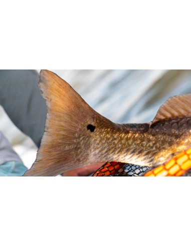 TFO Moment Series Saltwater Fly Rods