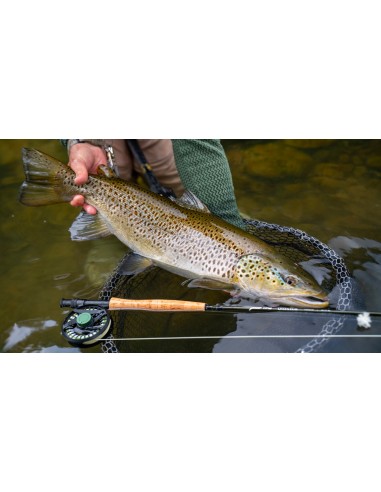 TFO Dispatch Fly Reel & spare spools