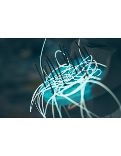 Soies intermédiaires mer... 2