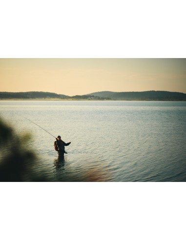 Cannes à mouche Guideline Rivolt...