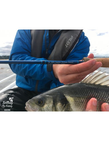 Seabass Eight “Bay of Morlaix II”...