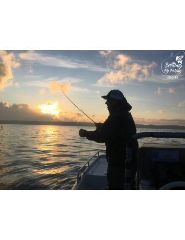 Seabass Eight “Bay of Morlaix II”...