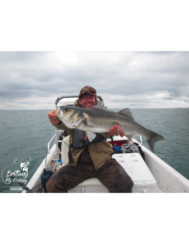 Seabass & Pike Nine “Roadstead of...