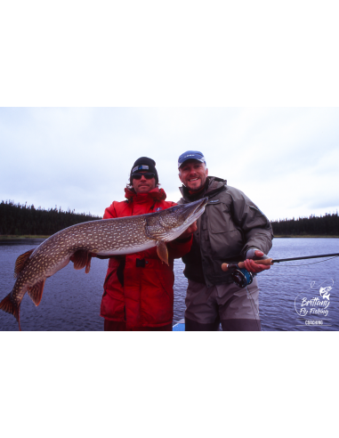 Canne à mouche Seabass & Pike Nine...