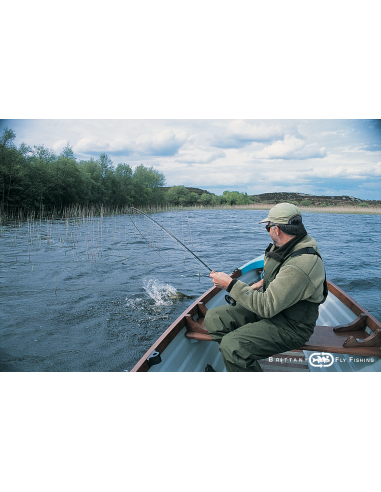 Seabass & Pike Nine “Roadstead of...