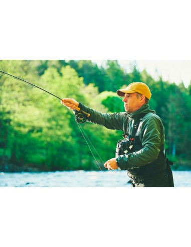 Guideline Experience Multi Harness