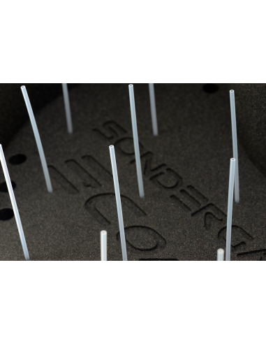 Sondergaard ECoastal Shooting Basket...