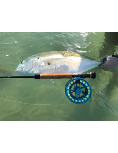 Moulinets Lamson Litespeed...