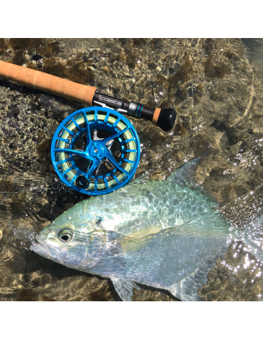 Lamson Litespeed M-6/M-8/M-10/M-12...