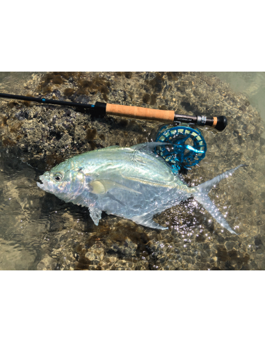 Lamson Litespeed M-6/M-8/M-10/M-12...