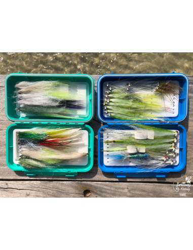 Boîte étanche C&F Design Saltwater...