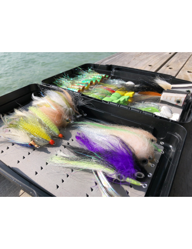 Boîte Scientific Anglers Boat Box -...