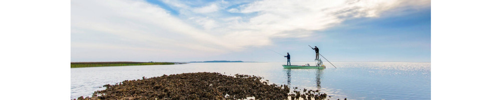 Bonefish et permit